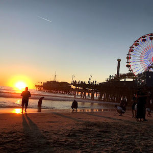 Meet your Posher, Vito